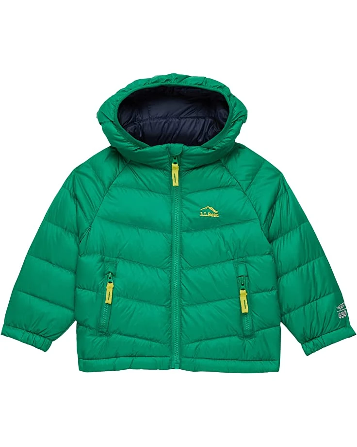 L.L.Bean Coats & Outerwear Ultralight 650 Down Jacket (Infant) - Image 4